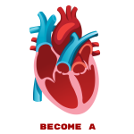 Heart Partnership