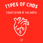 Types of CHDs-Coarctation of the Aorta